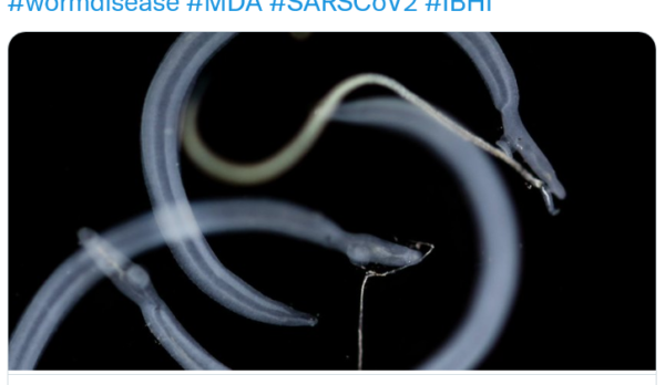 ibhi-lab-and-jrj-health-discuss